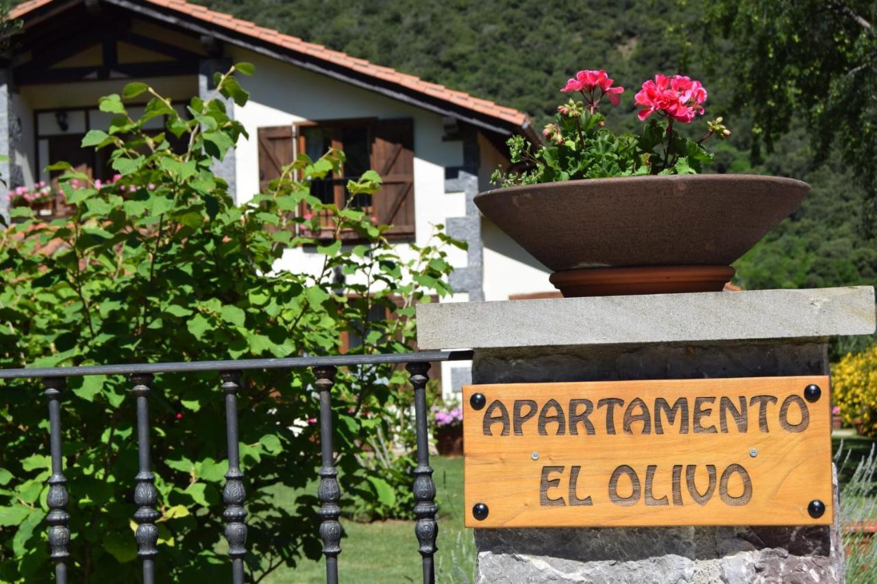 Excepcional Apartamento El Olivo โอเคโด ภายนอก รูปภาพ